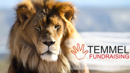 Temmel Fundraising